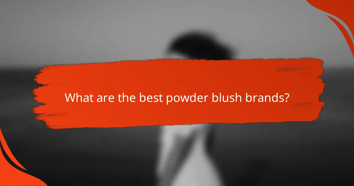 What are the best powder blush brands?
