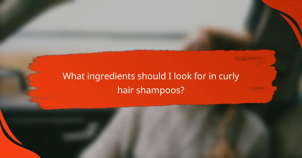 What ingredients should I look for in curly hair shampoos?